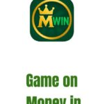 WhatsApp Image 2025 07 27 At 01.02.41_878ebd1e