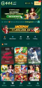 C444 Game